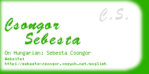 csongor sebesta business card